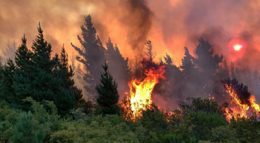 La crisis climática está cambiando el régimen de incendios forestales en Argentina